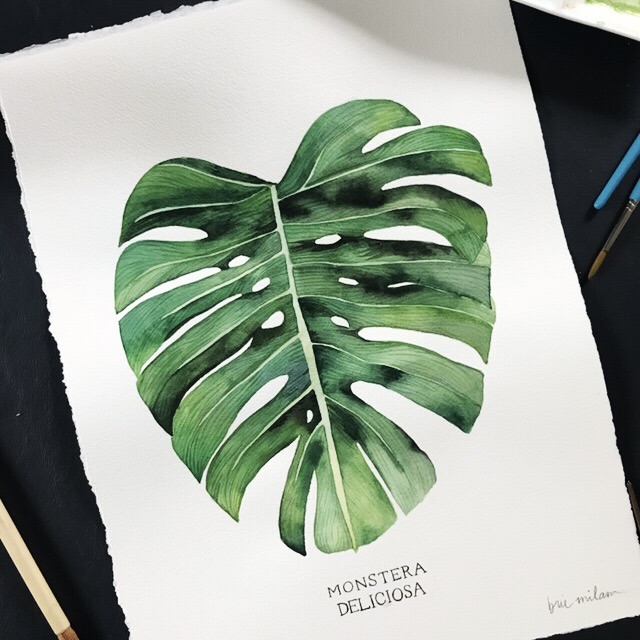 Watercolor Botanicals