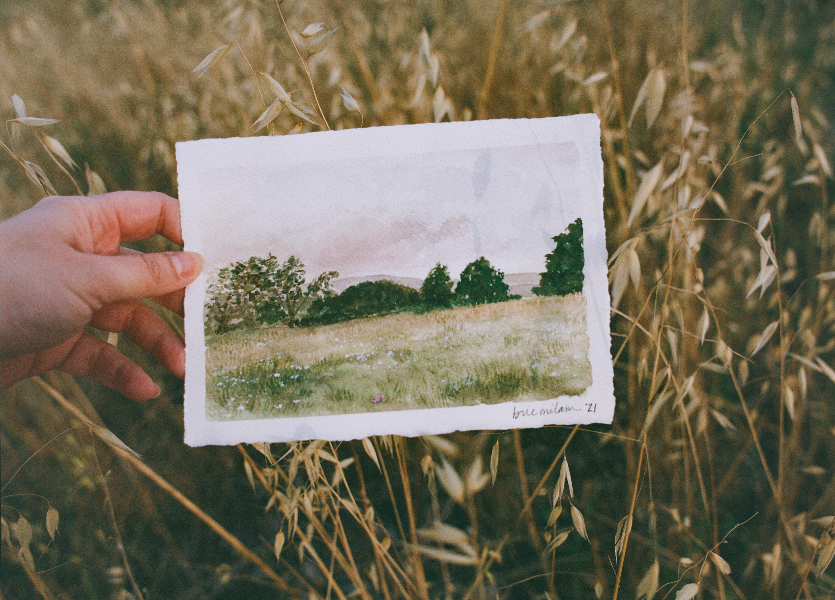 Watercolor Landscapes — photo 3