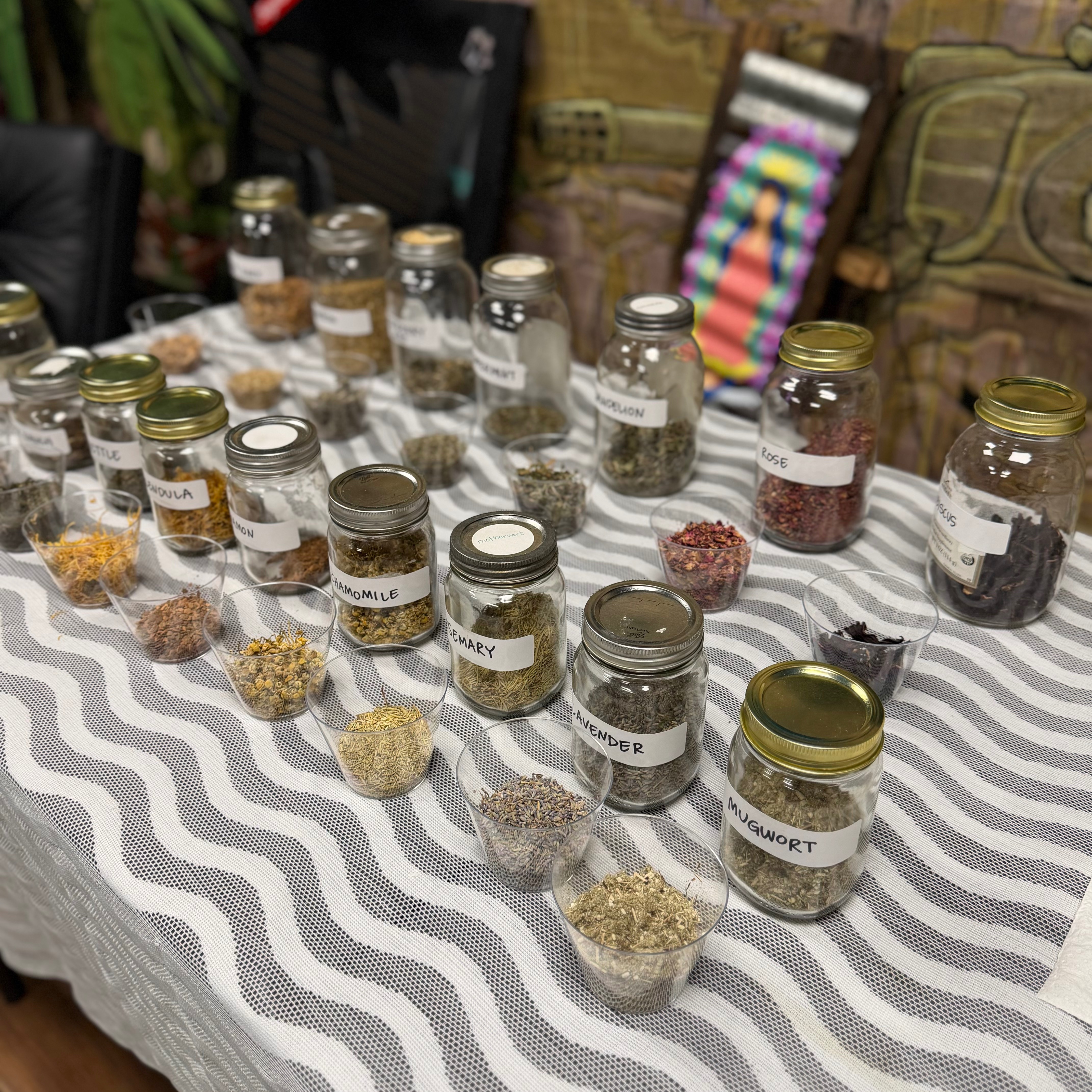 The Tea on Tea: An Intro to Herbal Teas