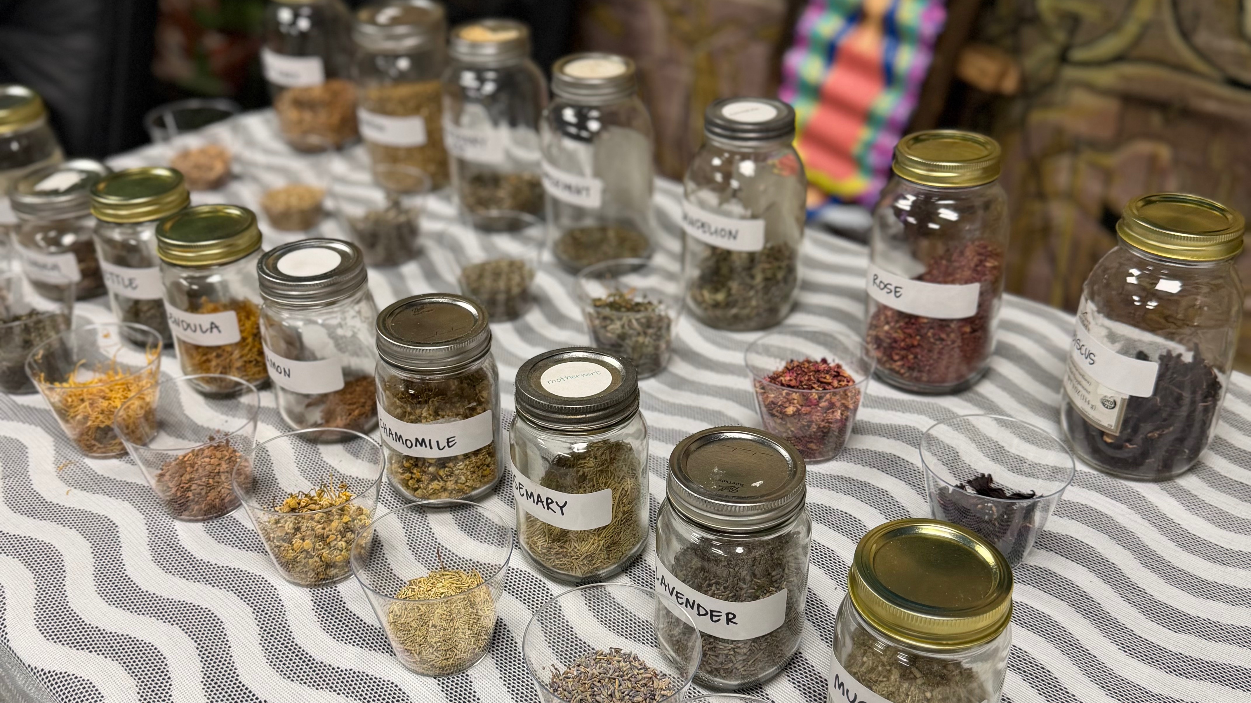 The Tea on Tea: An Intro to Herbal Teas
